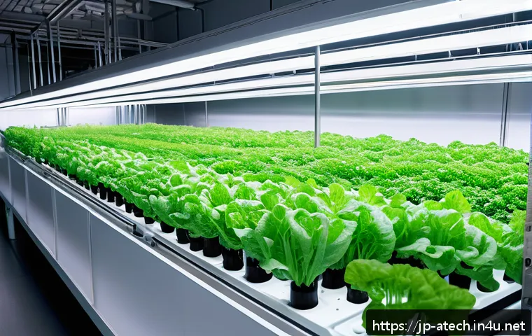 농업기술 이론과 실무 차이점 관련 이미지 2